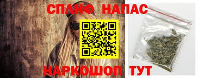 соль ск Будённовск