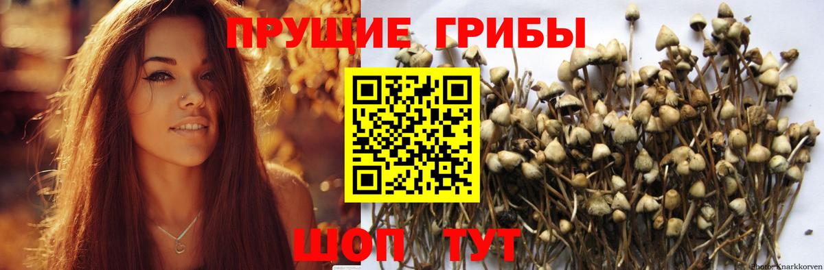 Химки  Псилоцибиновые грибы мухоморы  Вход с VPN 