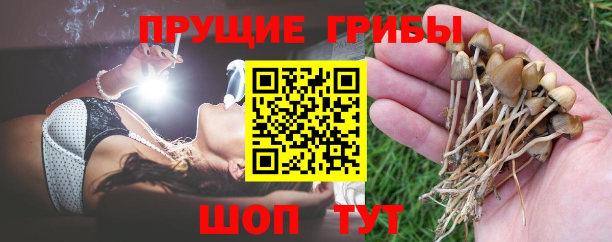Псилоцибиновые грибы Magic Shrooms Химки